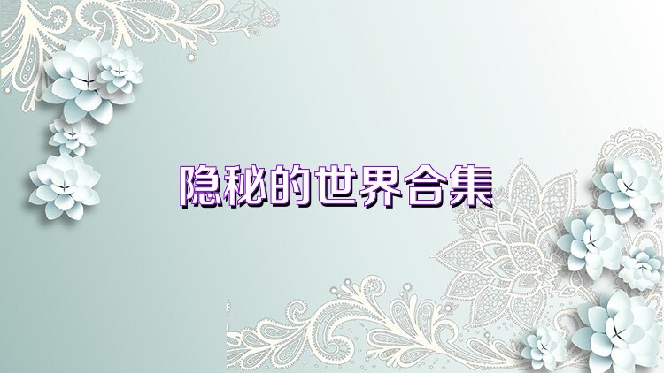 隐秘的世界合集