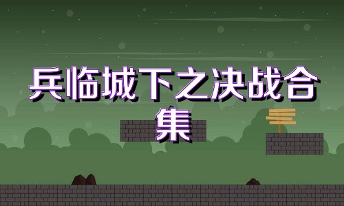 兵临城下之决战合集