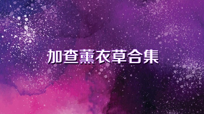 加查薰衣草合集
