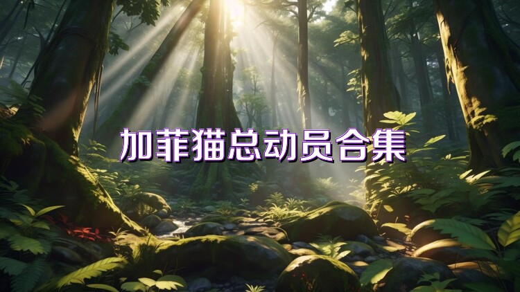加菲猫总动员合集