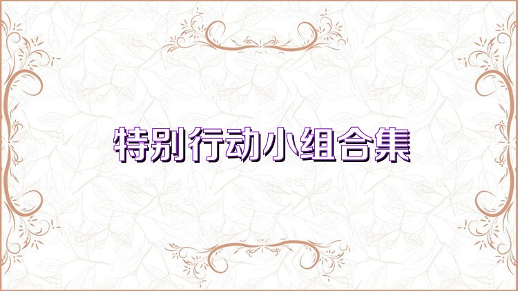 特别行动小组合集