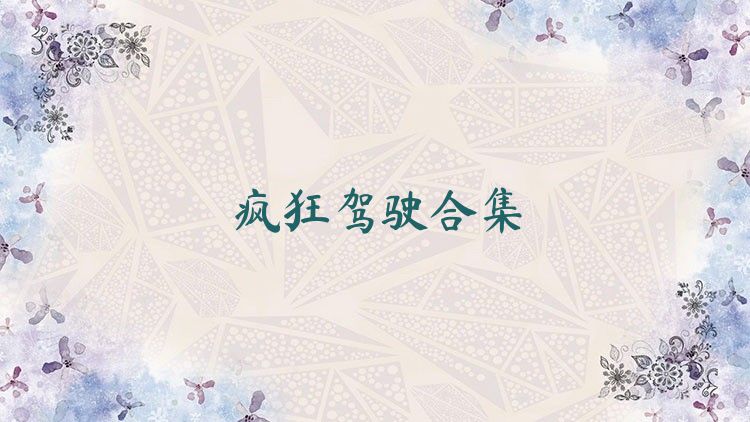 疯狂驾驶合集