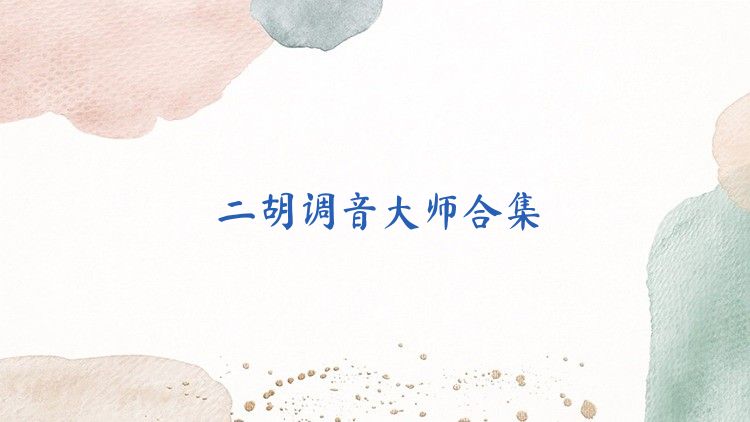 二胡调音大师合集