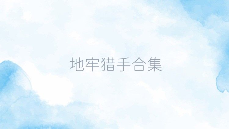 地牢猎手合集