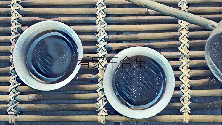 看家王合集