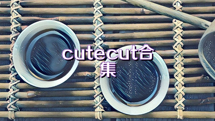 cutecut合集