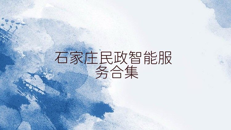 石家庄民政智能服务合集