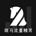 斑马流量精灵免费版