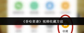 香哈菜谱如何清除缓存