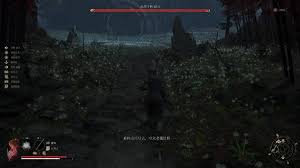 明末渊虚之羽赵云在哪