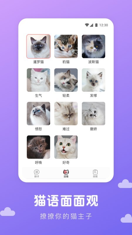 猫语翻译君官网版