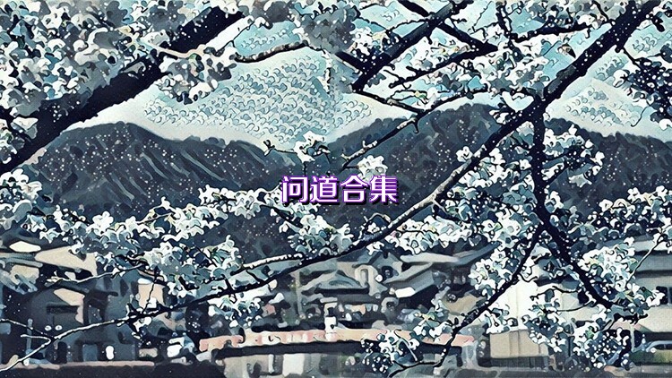 问道合集