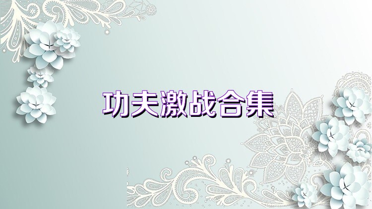 功夫激战合集
