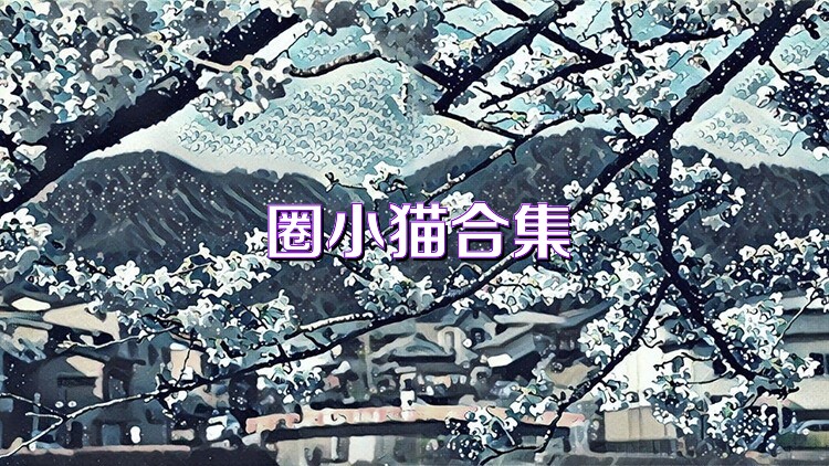 圈小猫合集