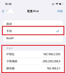 苹果手机如何修改网络IP