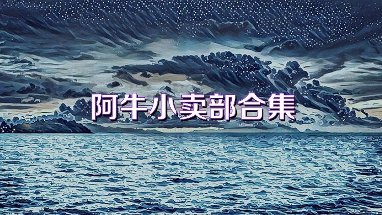 阿牛小卖部合集