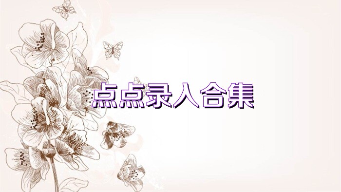 点点录入合集