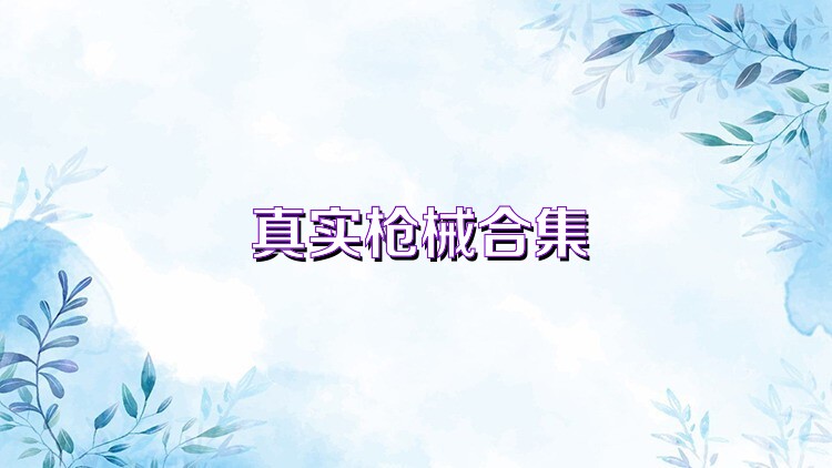 真实枪械合集