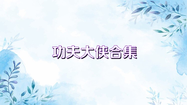 功夫大侠合集