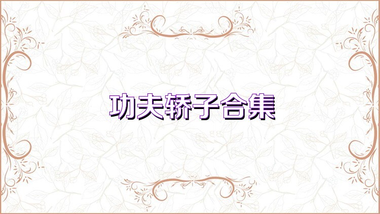 功夫轿子合集