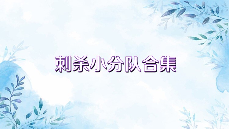 刺杀小分队合集