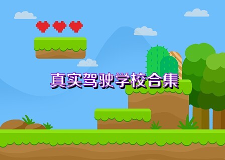 真实驾驶学校合集