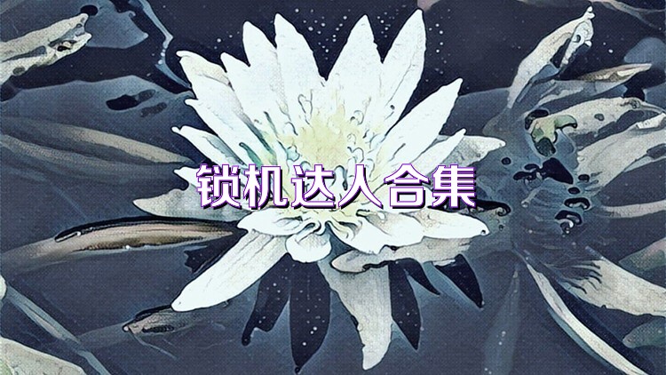 锁机达人合集