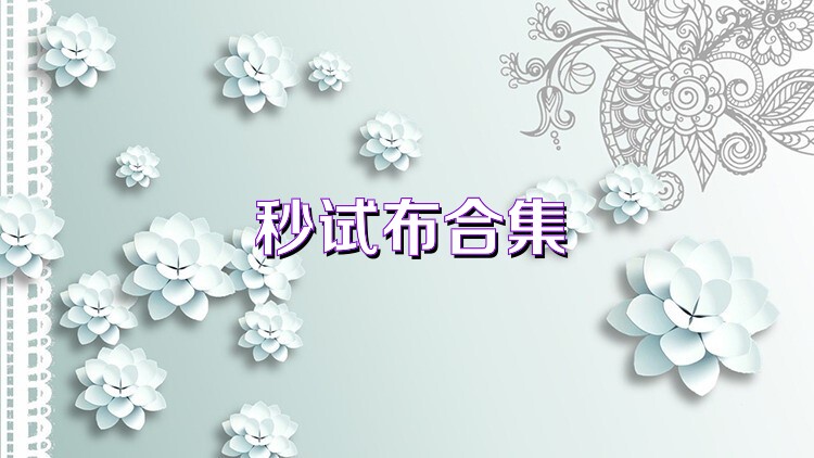 秒试布合集
