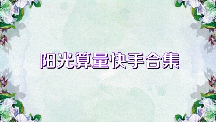 阳光算量快手合集