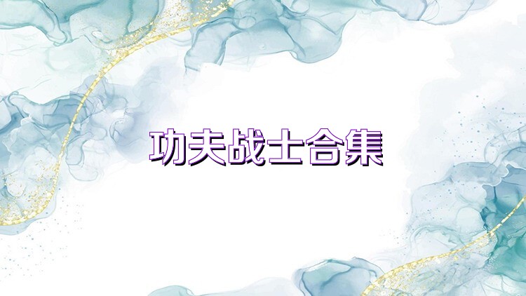 功夫战士合集