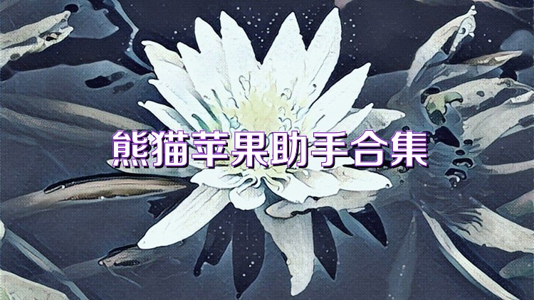 熊猫苹果助手合集