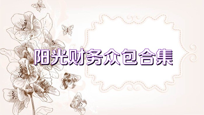阳光财务众包合集
