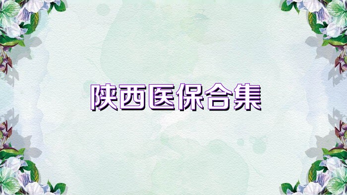 陕西医保合集