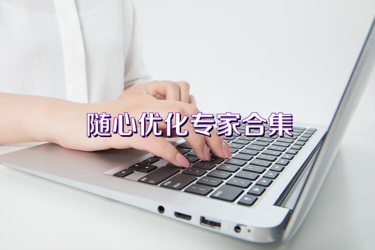 随心优化专家合集
