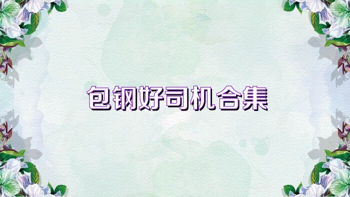 包钢好司机合集