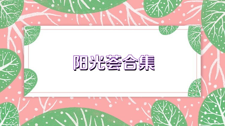 阳光荟合集