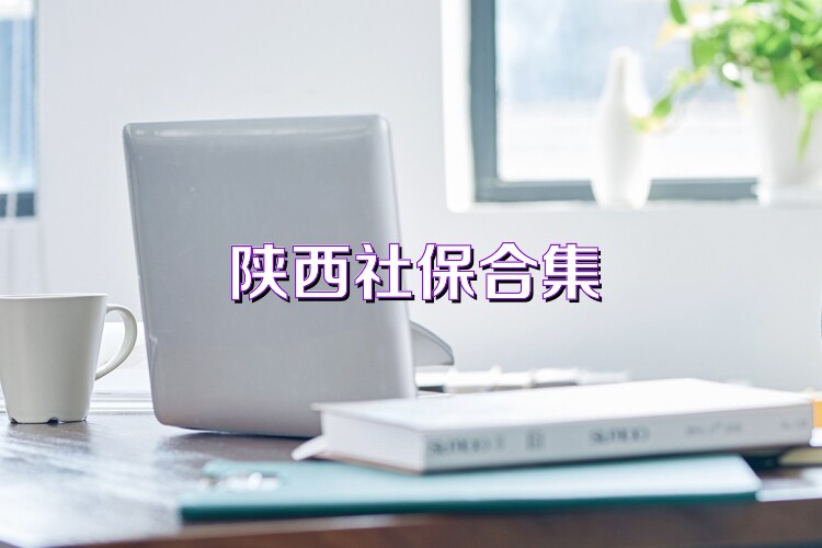 陕西社保合集