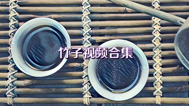 竹子视频合集