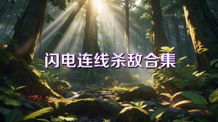 闪电连线杀敌合集