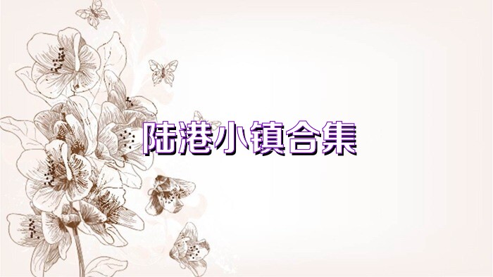 陆港小镇合集