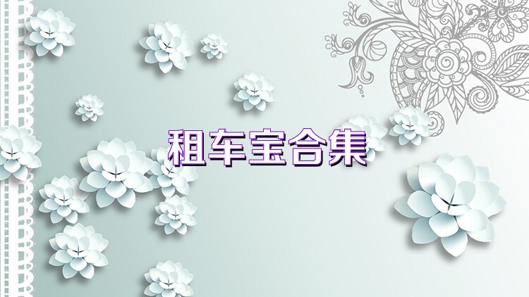 租车宝合集