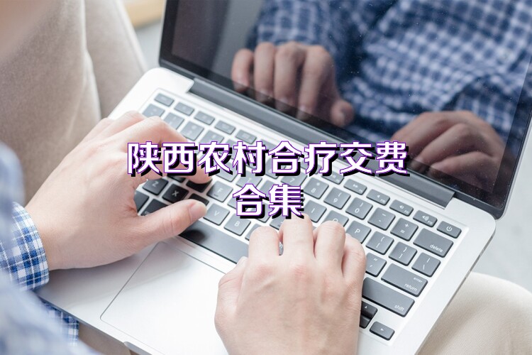 陕西农村合疗交费合集