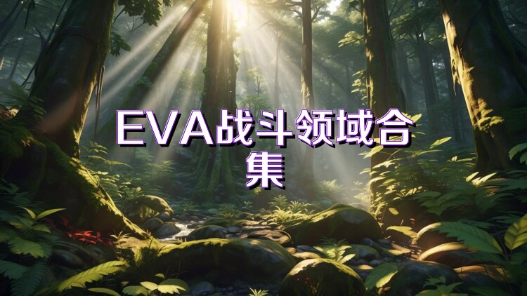 EVA战斗领域合集