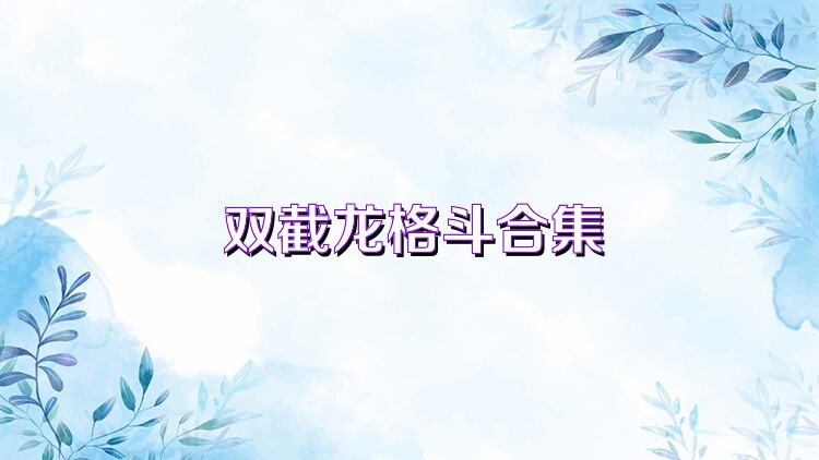 双截龙格斗合集