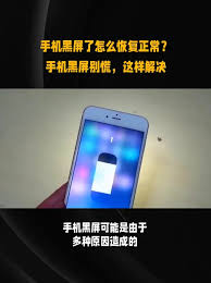 手机黑屏了怎么恢复正常方法