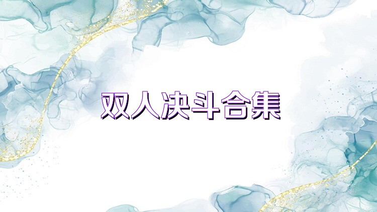 双人决斗合集