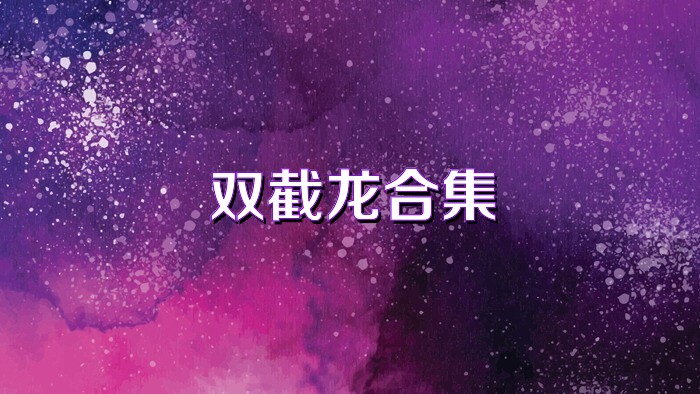 双截龙合集