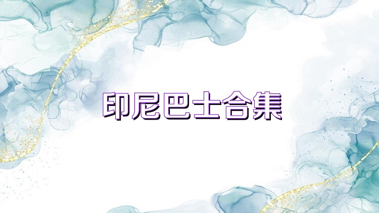 印尼巴士合集