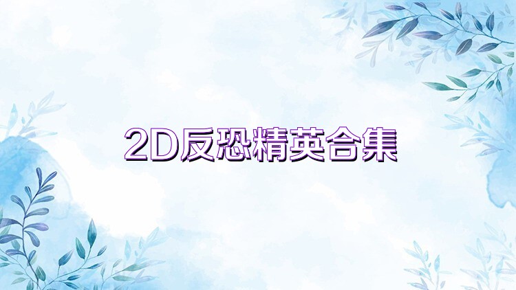 2D反恐精英合集