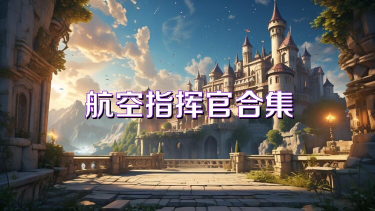 航空指挥官合集